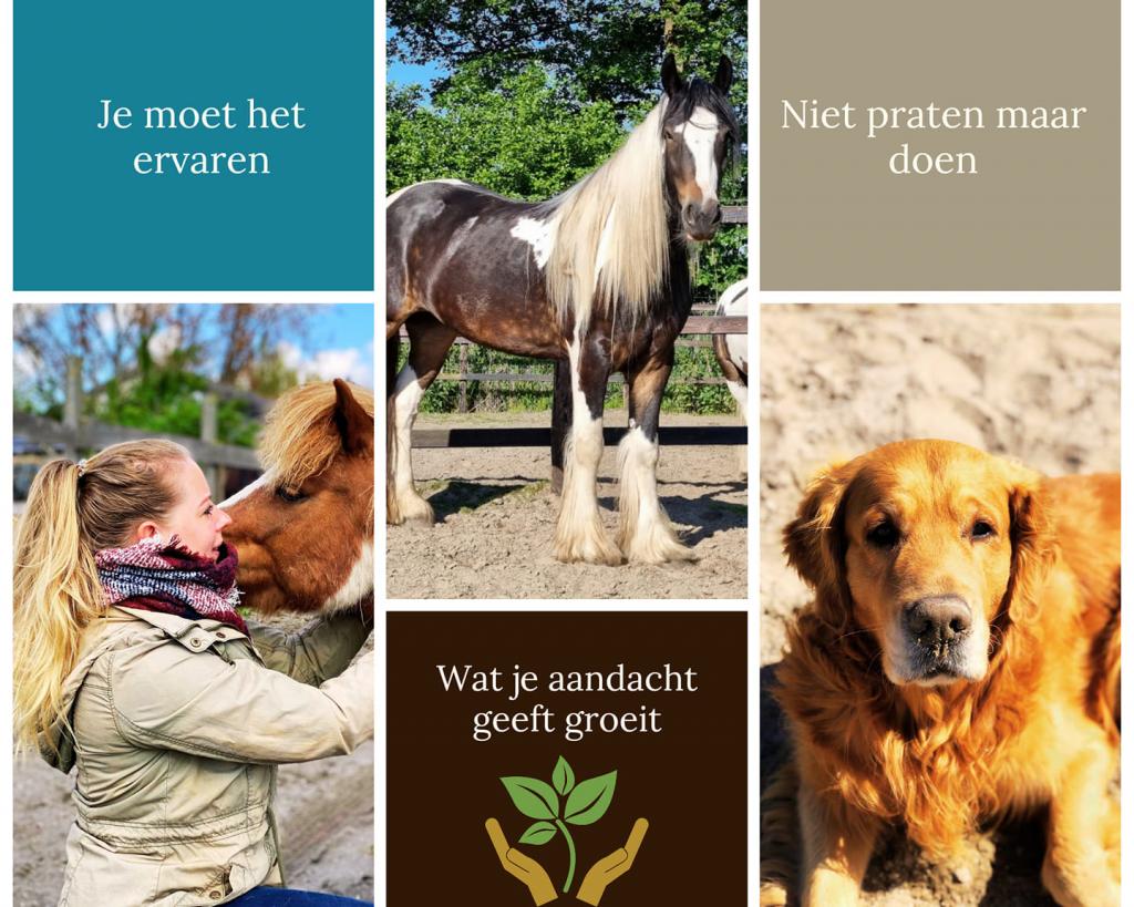 Profile picture for user jorinde